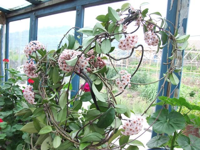 DSCF1875 [640x480].JPG