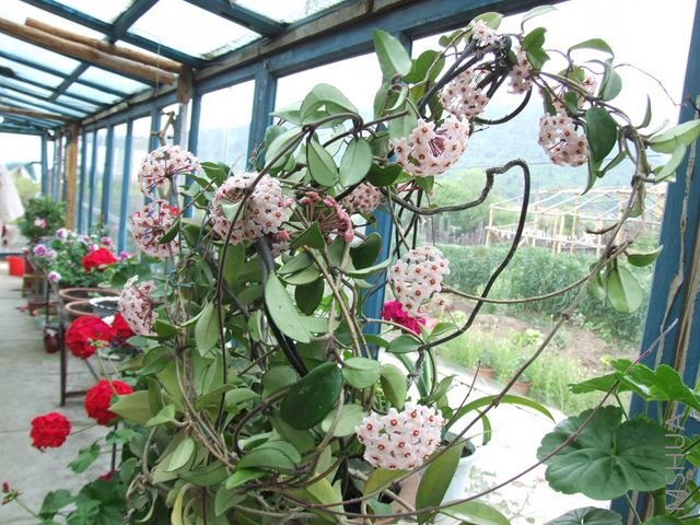 DSCF1876 [640x480].JPG