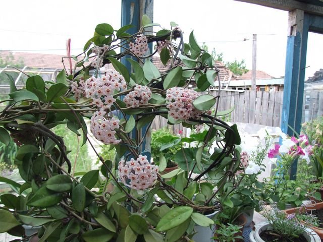 DSCF1873 [640x480].JPG