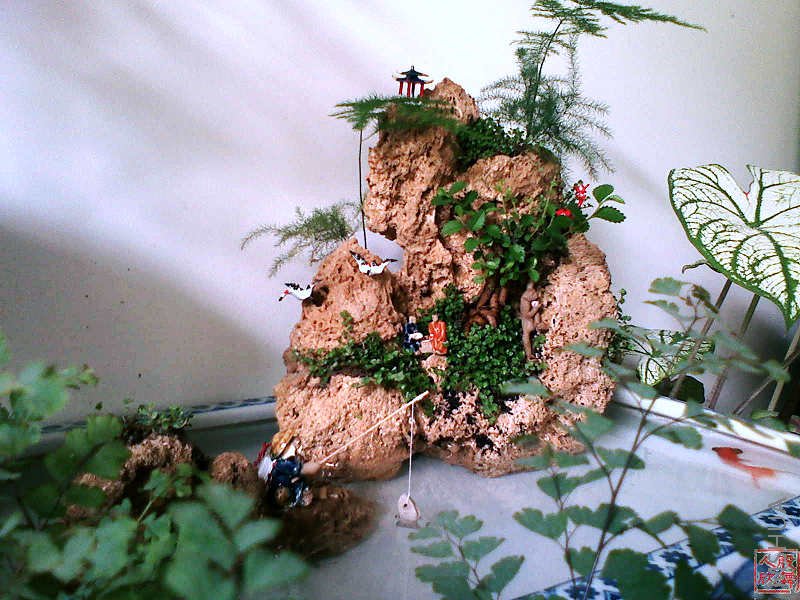 �ֻ���ƬҲ��¥