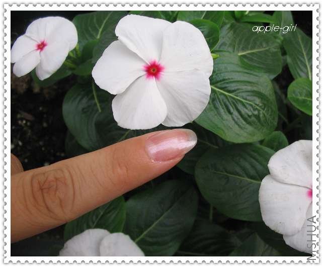 ��Ƭ20080620 033.jpg