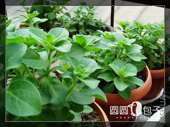 ��Ҫ������ʱ��