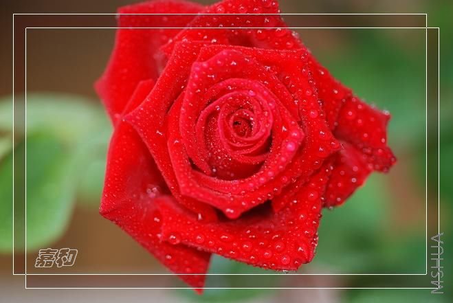 DSC_0416.JPG