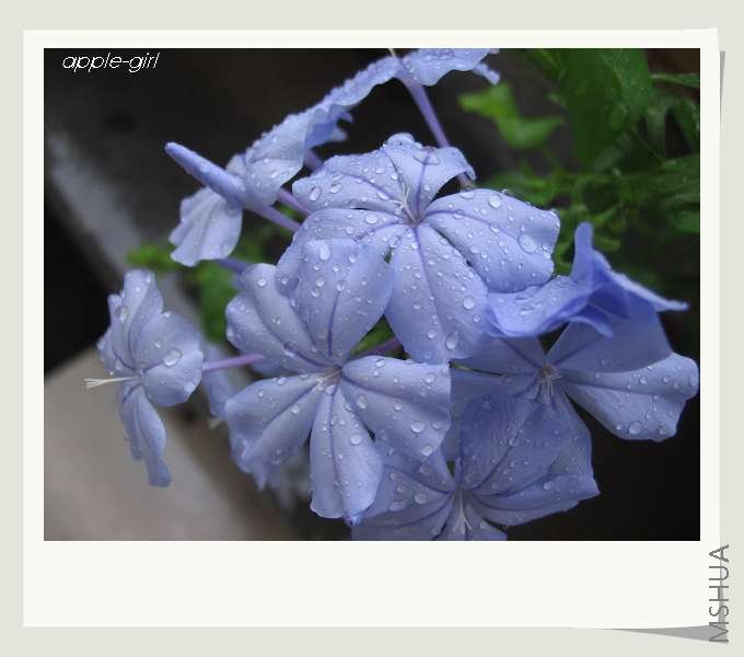 ��Ƭ20080621 004.jpg