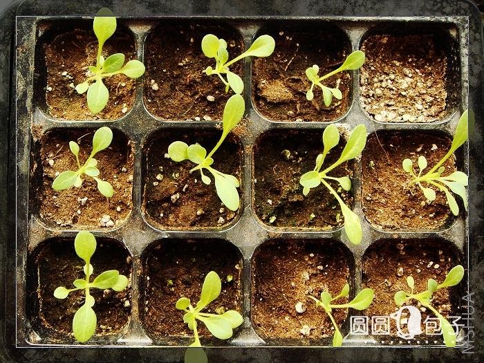 ͬ��ͽ����22����ţţ