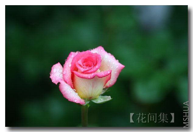 �µ���01 .jpg