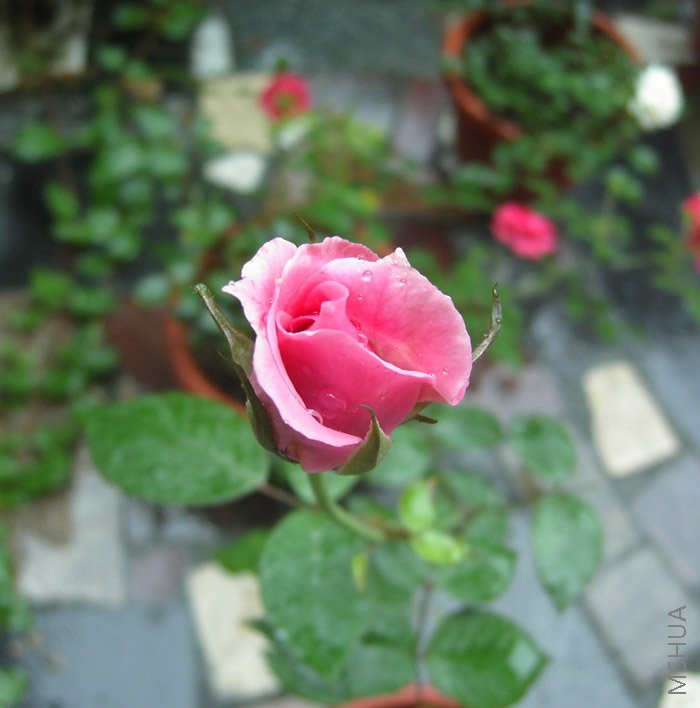 "������"