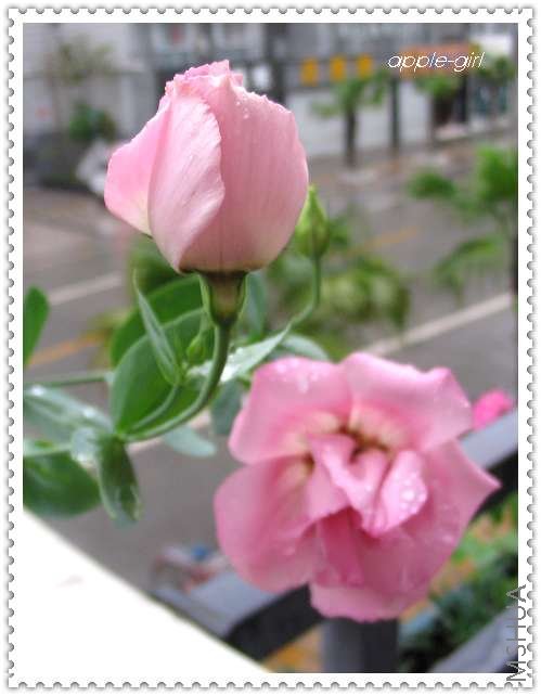 ��Ƭ20080622 005.jpg