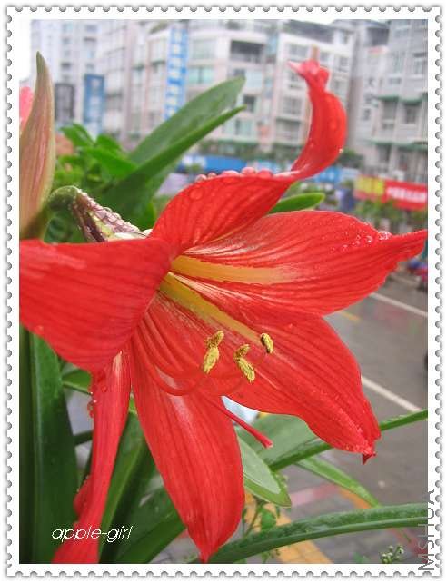 ��Ƭ20080622 015.jpg