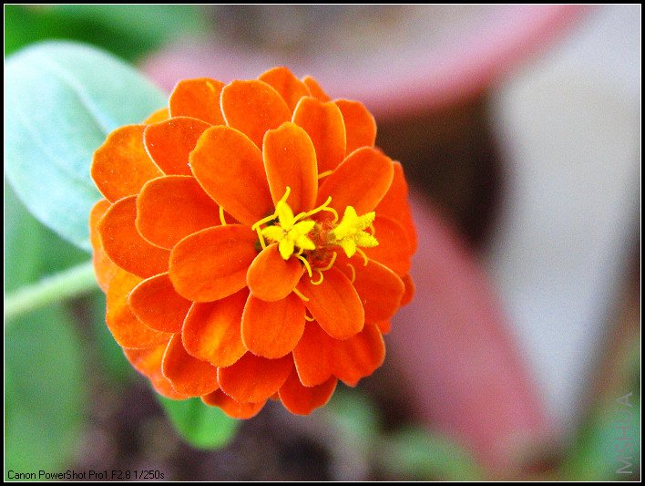 ���ղ� 008.JPG