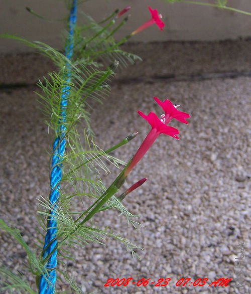 ���� ��Ƭ 004.jpg