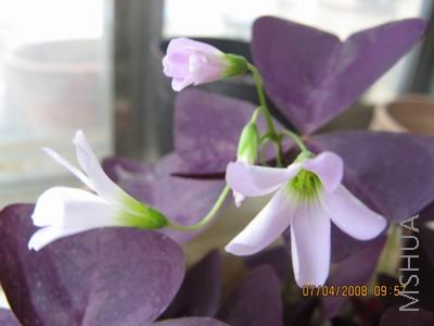 ��Ƭ 083.jpg