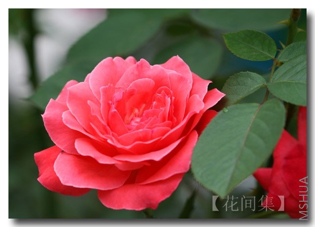 IMG_3062 ����.jpg