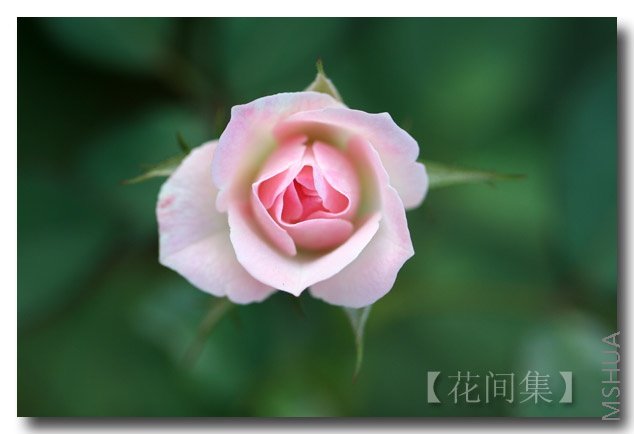 IMG_3176 ����.jpg