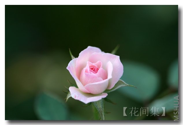 IMG_3177 ����.jpg