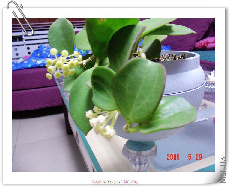 ���ڿ����Ķ�������