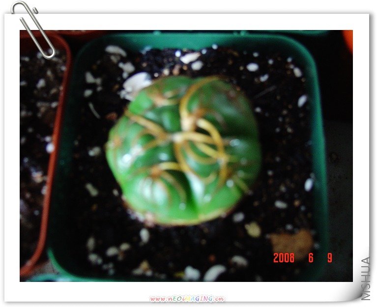 ���̺���