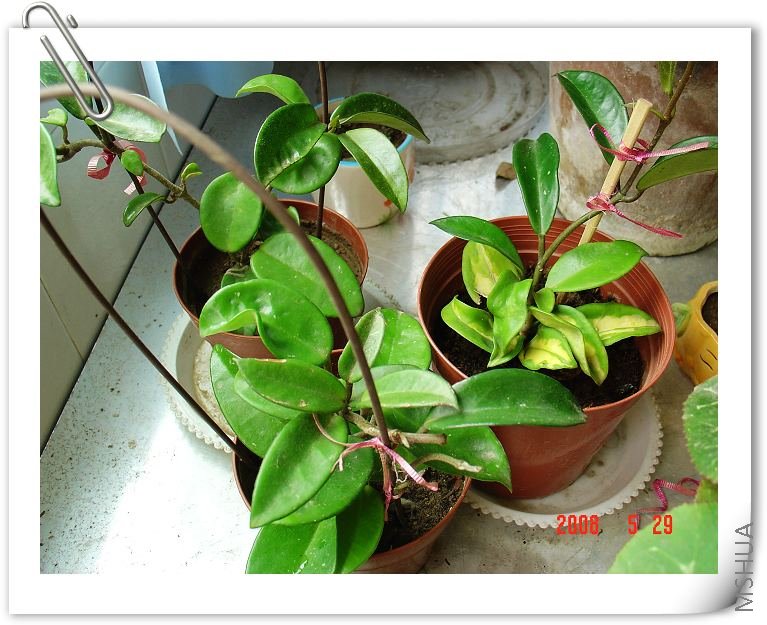 ��ͨ��Ҷ������3�·���ģ����ڳ��ĺ���