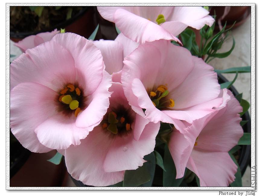 ������������