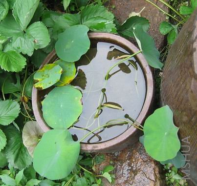 ��������Һ��Ӱ��˳����������ֻ�ȥ�ġ��Ǻǡ�