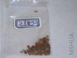 ͼƬ 015.jpg
