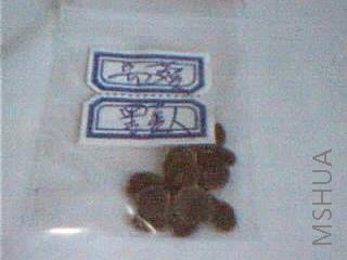 ͼƬ 012.jpg