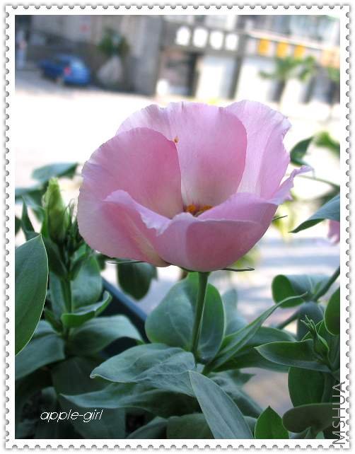 ��Ƭ20080628 032.jpg