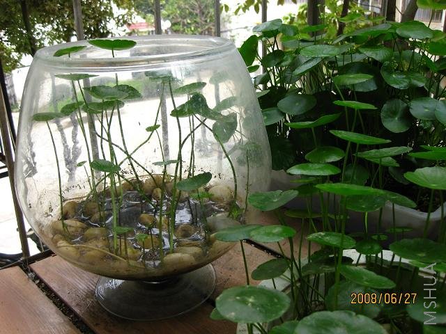 ͸��������Ҳ������Ǯ