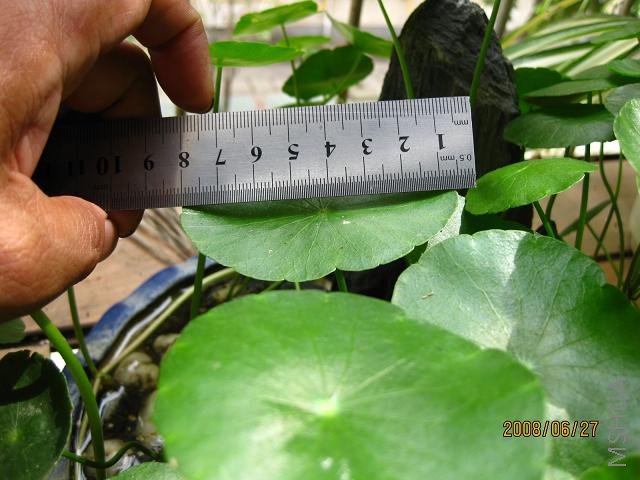 �죸���״��ǮǮ