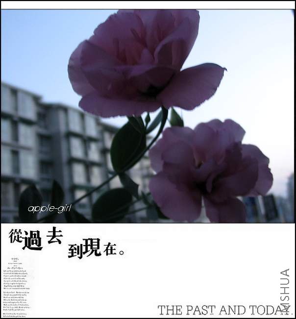 ��Ƭ20080628 015.jpg