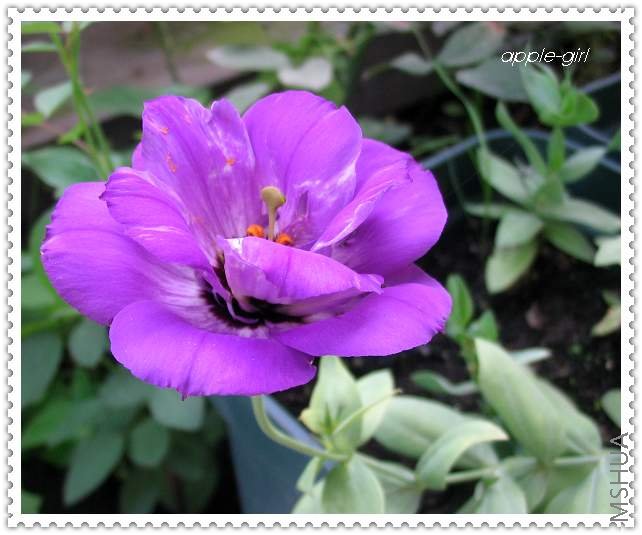 ��Ƭ20080628 033.jpg