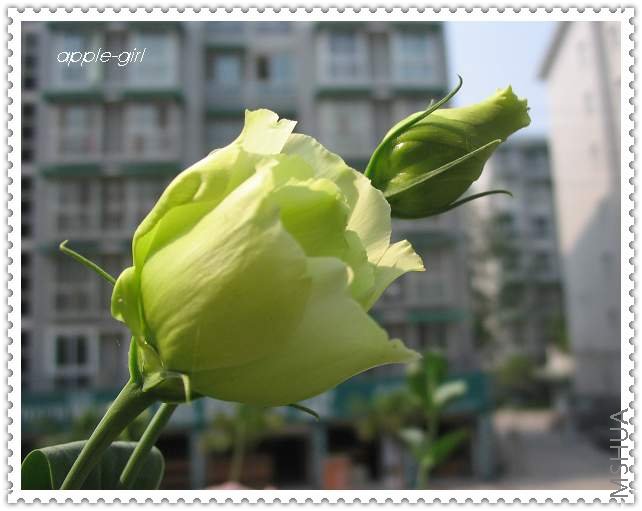 ��Ƭ20080628 056.jpg