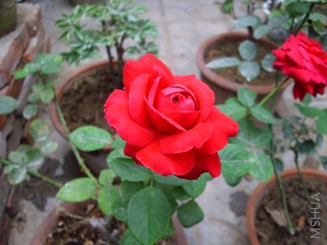 ��Ƭ 063.jpg
