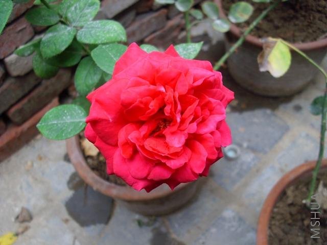 ��Ƭ 066.jpg