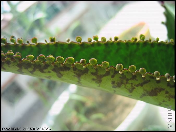 ���͹� 028.jpg