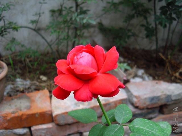 ��Ƭ 067.jpg