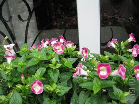 ������������һ������