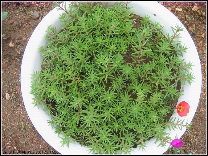 6��11������ɻ� 104.jpg