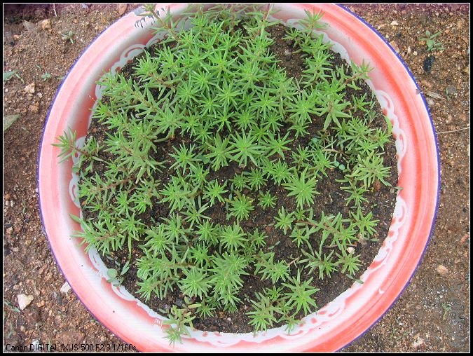 6��11������ɻ� 105.jpg