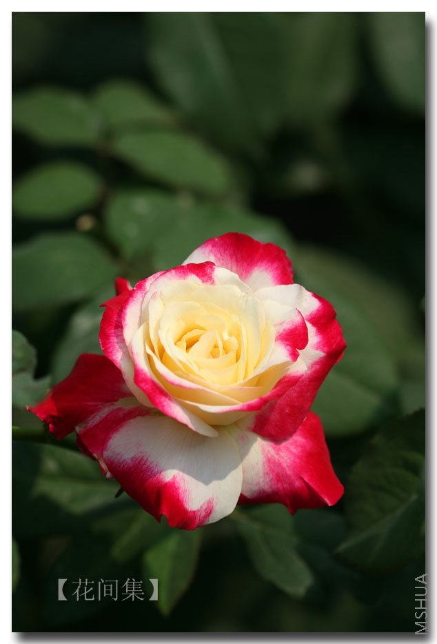 IMG_2789 ����.jpg