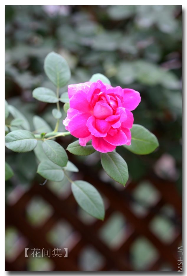 IMG_9199 ����.jpg