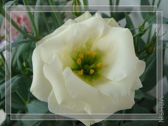 ABCϵ�У��ذ��ɫ