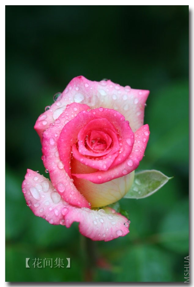 �µ���02 .jpg