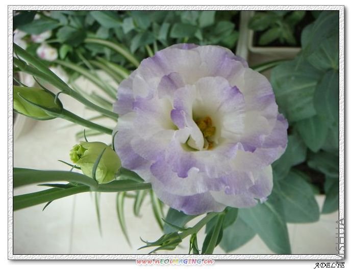 ABCϵ�У��ذ�����