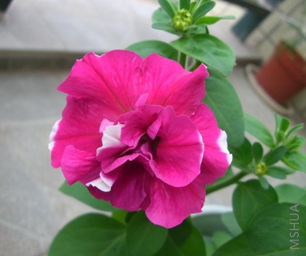 �ܺÿ���õ���Ӱ�ɫ������һ���һ�����