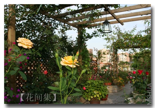 IMG_3233 ����.jpg