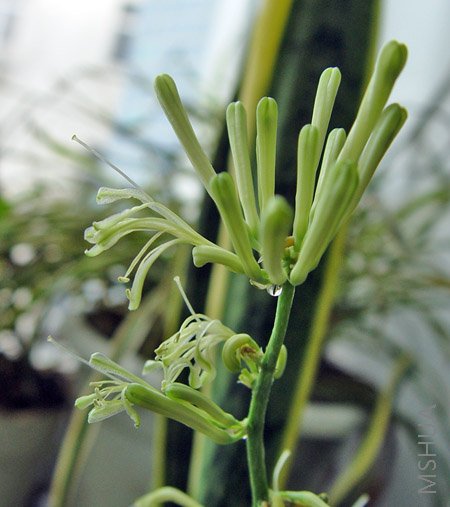 �ٽ��㿴��