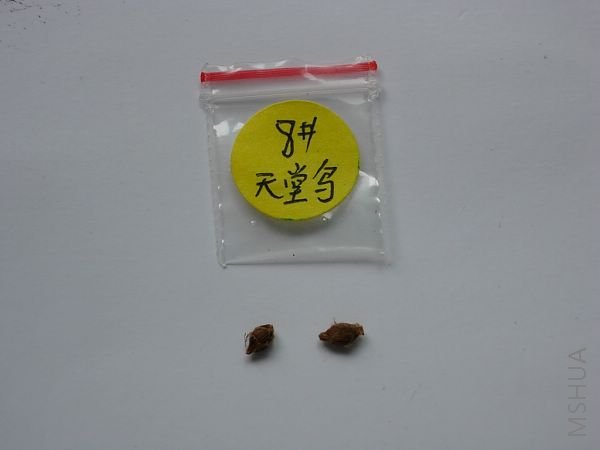 DSCN3724.JPG