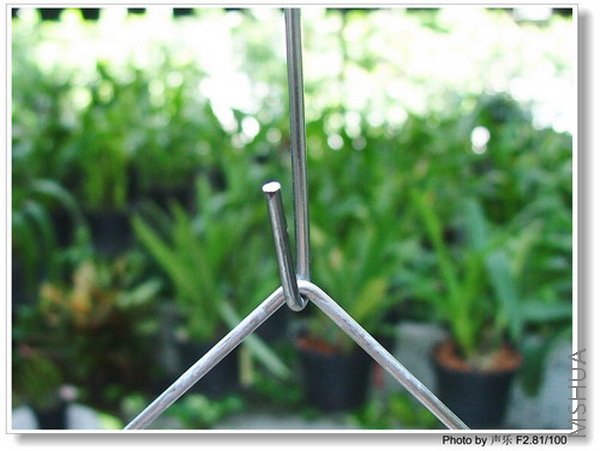 ���湳ס����ĵ���