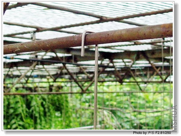 �����ס������